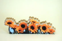 images/productimages/small/6x10 mdf.jpg